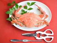 【佐賀🇯🇵 鮮甜竹崎蟹🦀