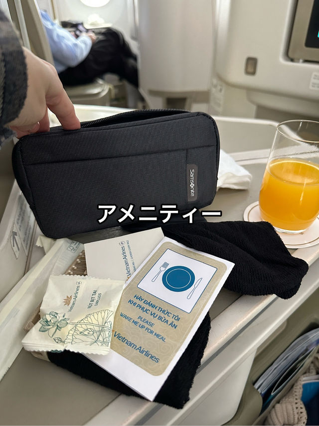 【成田→ハノイ】ビジネスクラス搭乗記＆ハノイ国際線→国内線移動