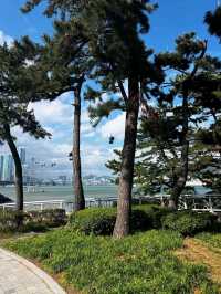 Songdo Sky Park