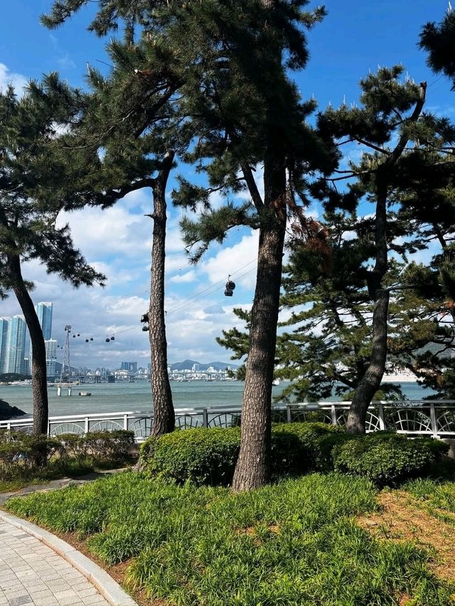 Songdo Sky Park