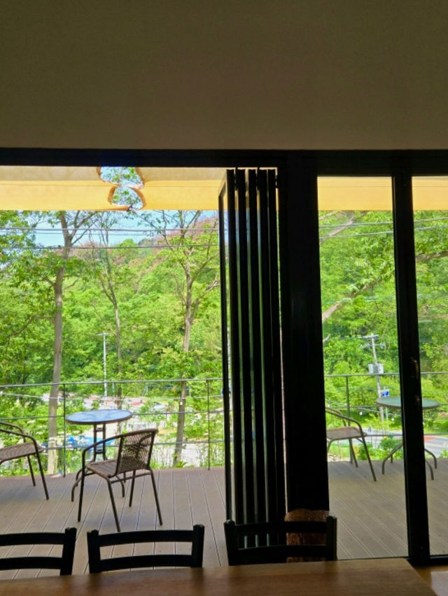 🌳 더숲 밀양, 경남의 숲속 힐링 체험! 