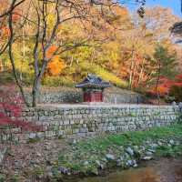 Hiking Gangcheonsan Was a Breeze