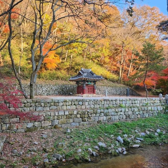 Hiking Gangcheonsan Was a Breeze