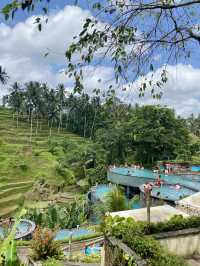 Ubud’s Dreamiest Jungle Playground at Alas Harum