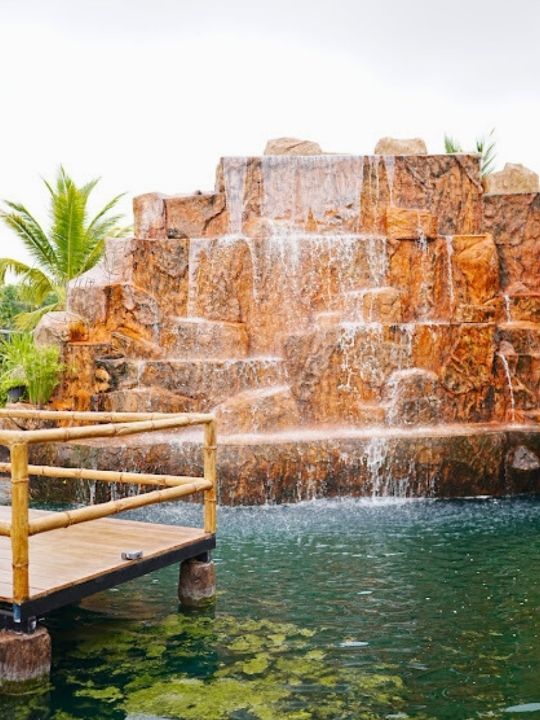 🧃 The Nature Cafe