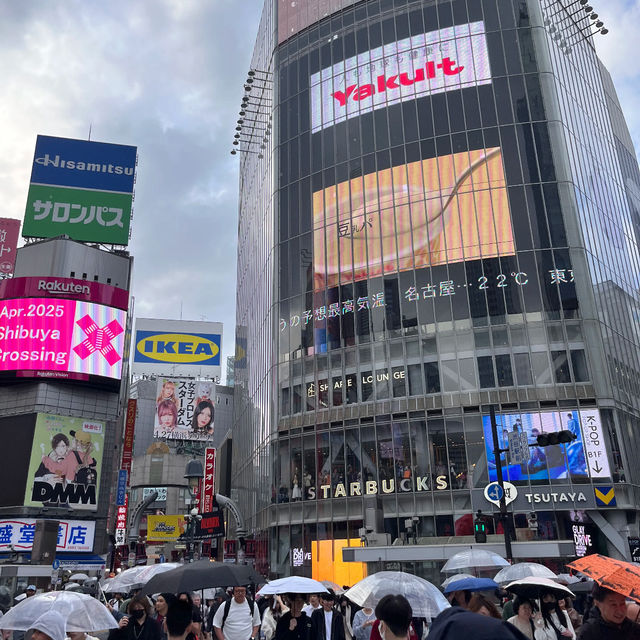🌧️→☀️ A Quick Stop at Shibuya Scramble Crossing