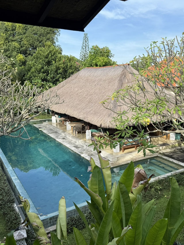 Stay safe & cheap in the woods in Sanur