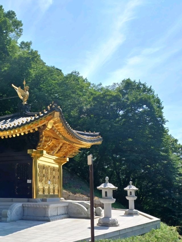 사찰 데이트는 이곳에서!