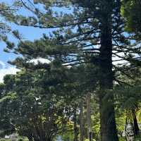 Wellington 1 Days Itinerary