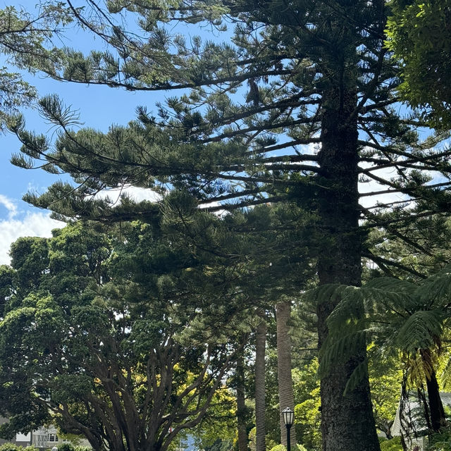 Wellington 1 Days Itinerary