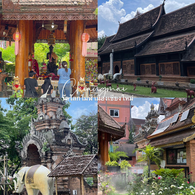 วัดโลกโมฬี เสน่ห์ล้านนาโบราณกลางเมืองเชียงใหม่