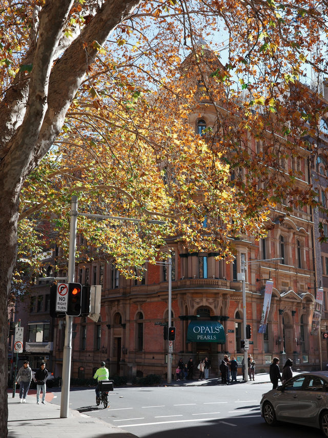 🇦🇺 Beginning of Winter in Sydney