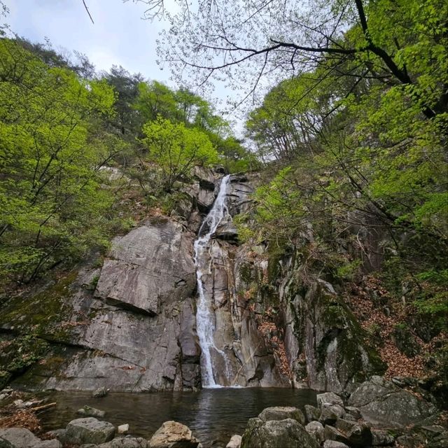 Quiet Trails Baekamsan