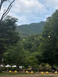 🌴🪵남양주브런치카페 와부읍 「팔숲」