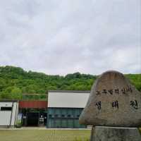 Daejeon Wanders