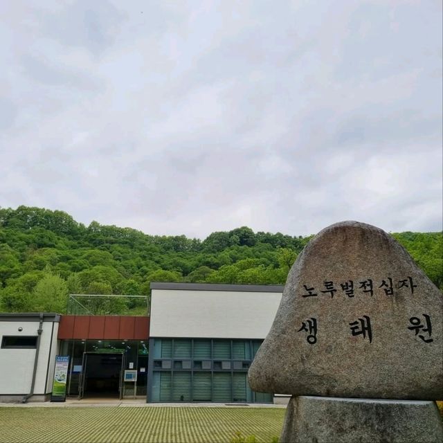 Daejeon Wanders