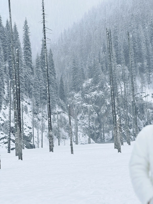 Frozen Dreams: A Winter Escape to Lake Kaindy
