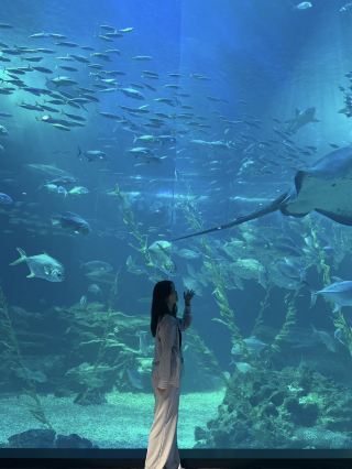 The largest aquarium in Korea!