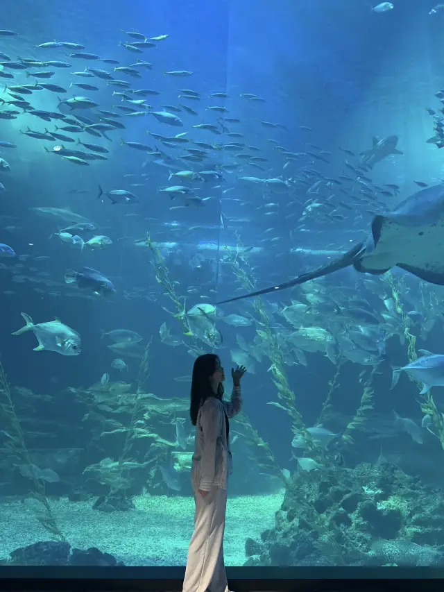 국내에서 가장 큰 아쿠아리움!