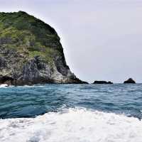 基隆嶼登島看花看海去！