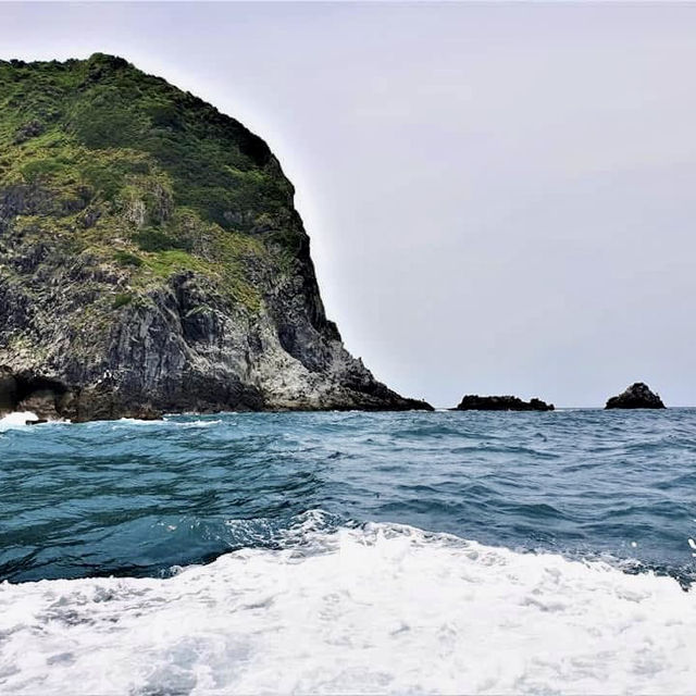 基隆嶼登島看花看海去！