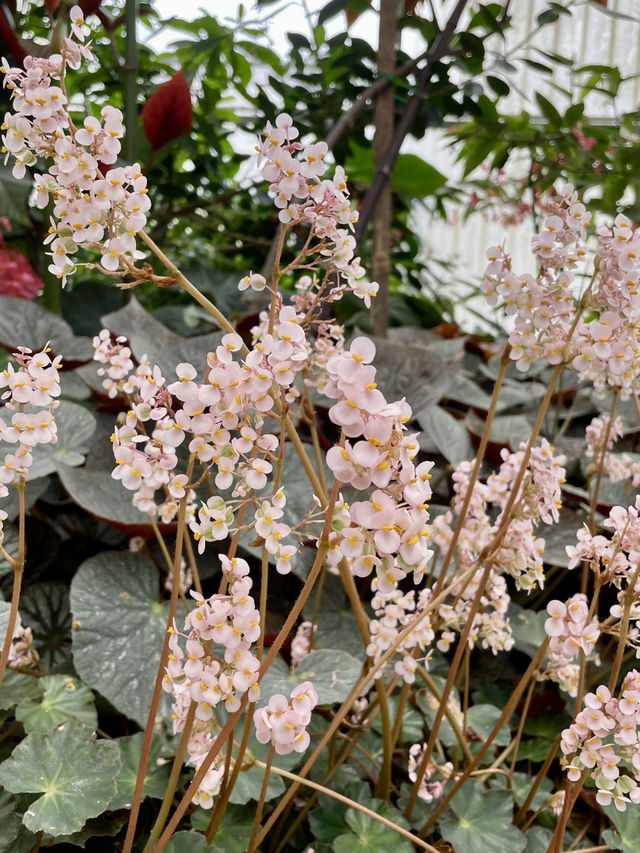 คนรักธรรมชาติห้ามพลาด ที่เที่ยวแนะนำ จ.เชียงใหม่