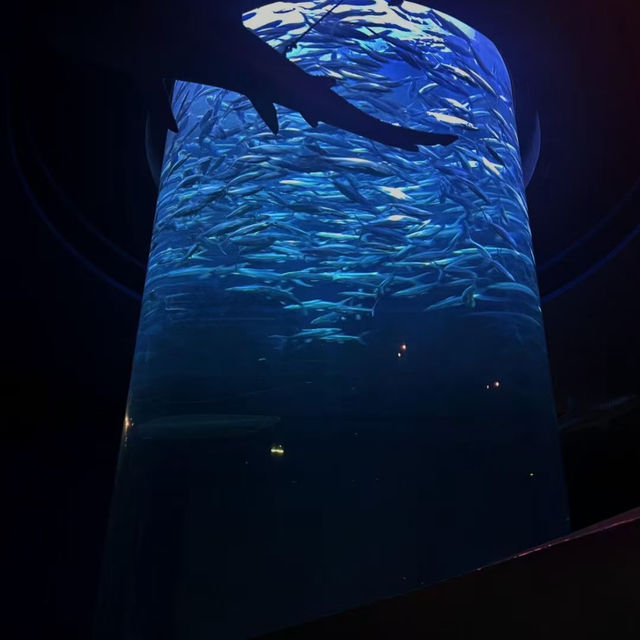 香港海洋公園