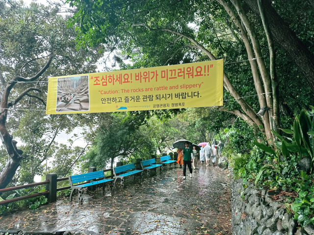 🌧️ 비내리던 날 ‘정방폭포’