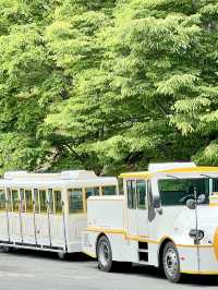 咱們去太宗台座Danubi 列車！ 走～～～