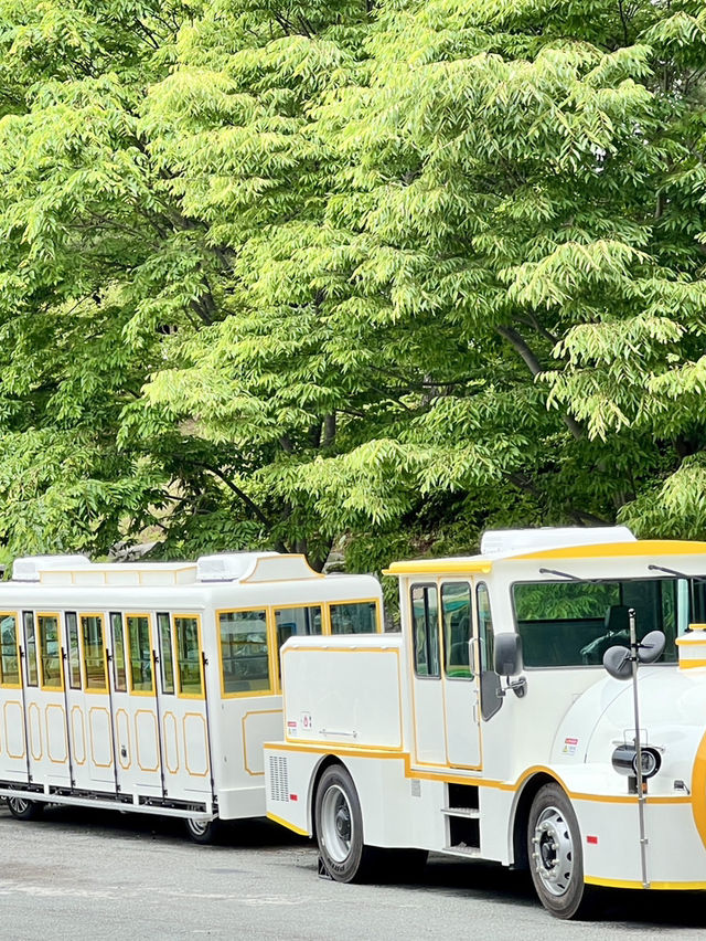 咱們去太宗台座Danubi 列車！ 走～～～