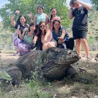 6D5N Adventure & Relaxing Itinerary