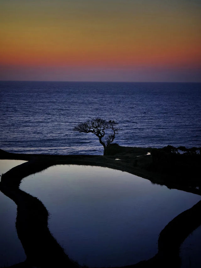 海に続く棚田の絶景🌾白米千枚田で心ほどける自然旅
