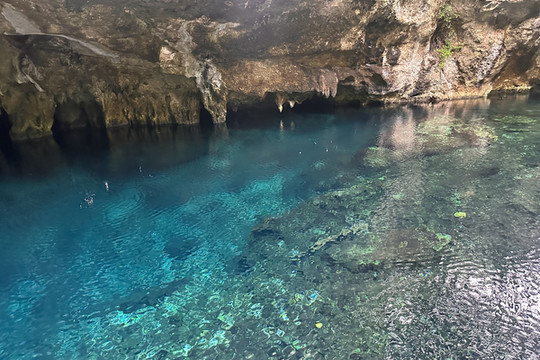 グラン・セノーテ（Gran Cenote）｜神秘の光と水に包まれる夢のような
