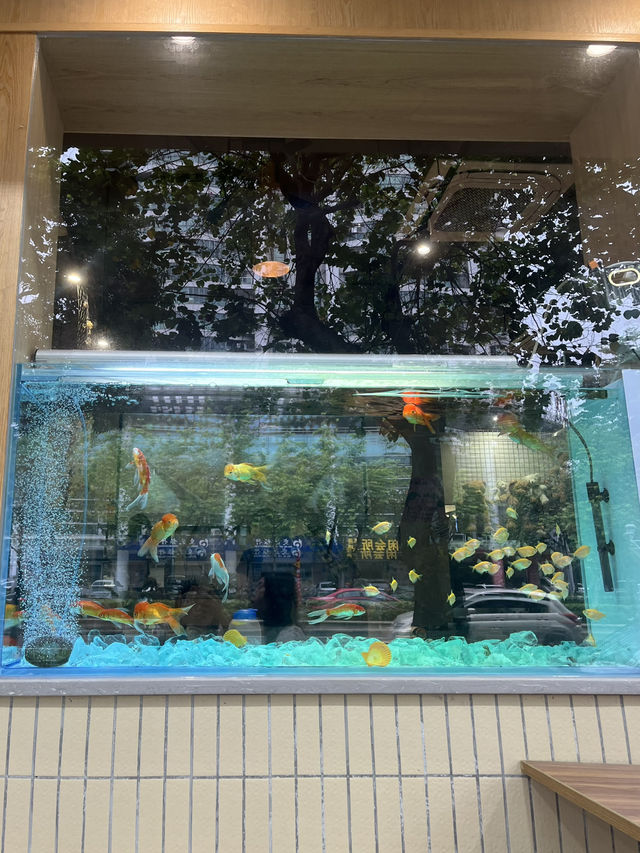 🐠포산 垂虹路에서 발견한 금붕어 수족관 ✨