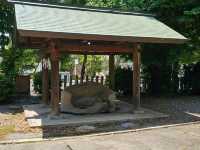 岐阜〔大垣大神宮〕靜藏於市街中神社 ⛩️🌸