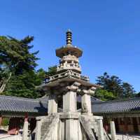 Exciting 6-hours trip to Gyeongju city