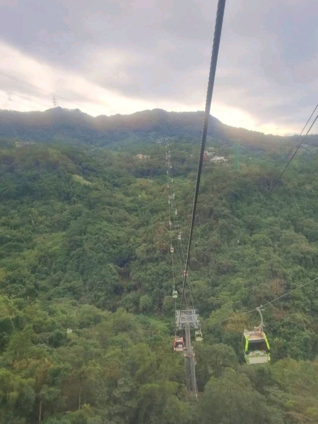 Panoramic Views