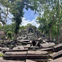 【ラピュタの世界🪐】ベンメリア遺跡で出会った崩れゆく美しさ🌿 
