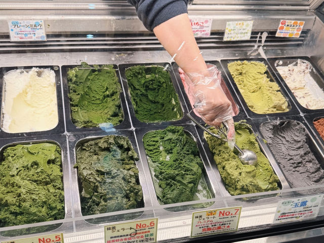 Shizuoka: The Perfect Weekend Escape for Relaxation! 🍵🌸