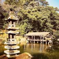 🏯 Kanazawa Castle Summer Survival Guide** *"Where stone walls stay cool and gold leaf shimmers in t