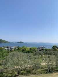 【香川🇯🇵】小豆島　オリーブ園へ