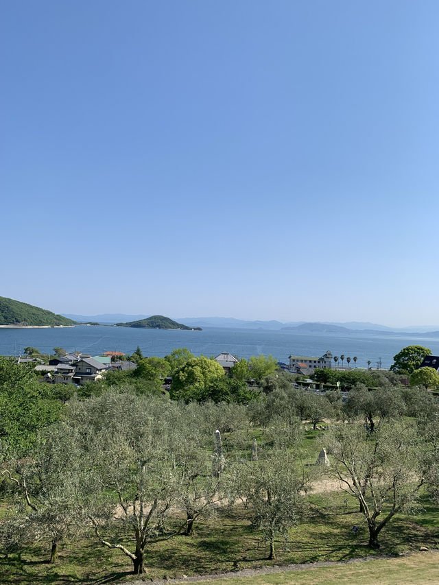【香川🇯🇵】小豆島　オリーブ園へ