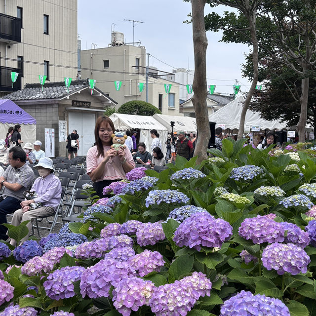東京3日自由行