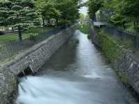 圓山公園登頂