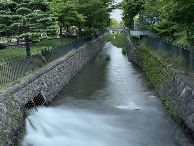 圓山公園登頂