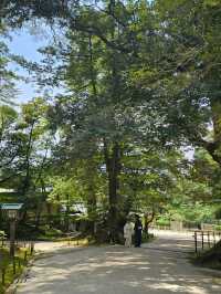 必訪日式庭園〔兼六園〕，四季皆美的百景之首