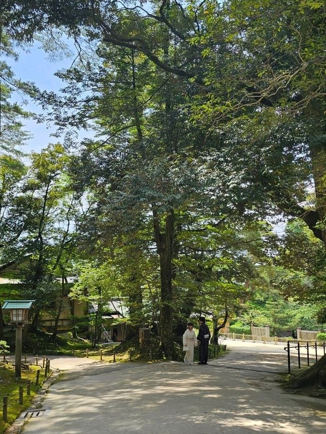 必訪日式庭園〔兼六園〕，四季皆美的百景之首