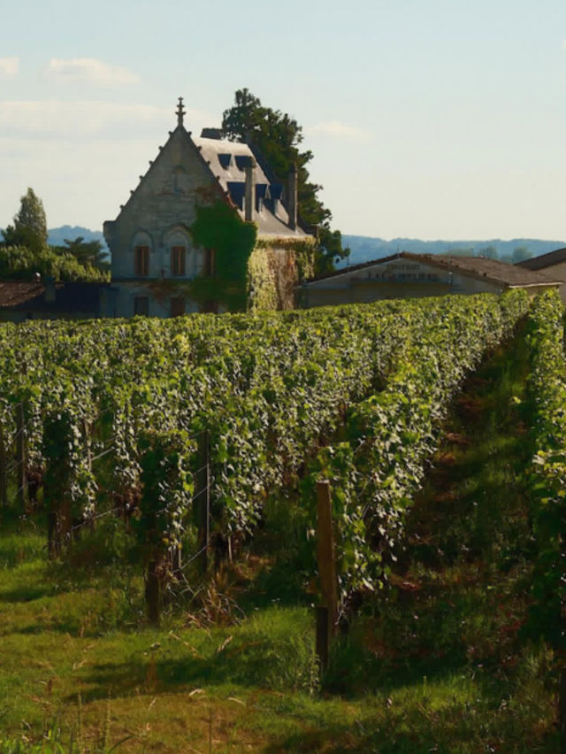 【石畳とワインの香りに包まれて🍇】サン・テミリヨンで過ごす至福のひととき