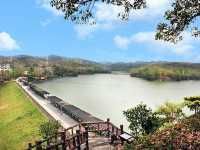 尖山埤渡假村｜藏在台南的湖畔山林，最靜謐的綠色假期