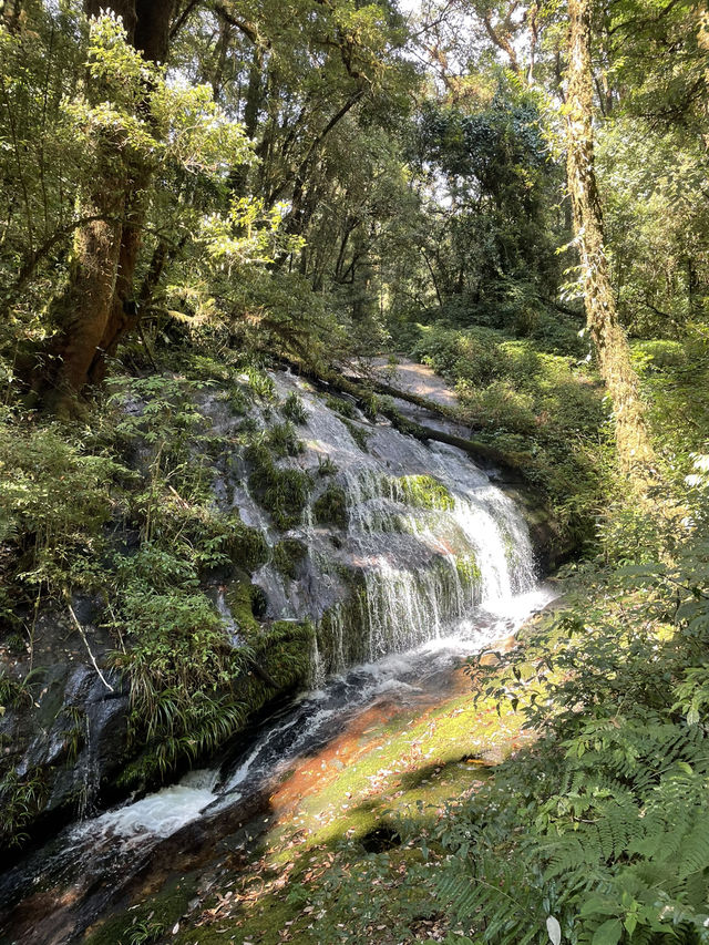 茵他儂國家公園：山林間的壯麗健行